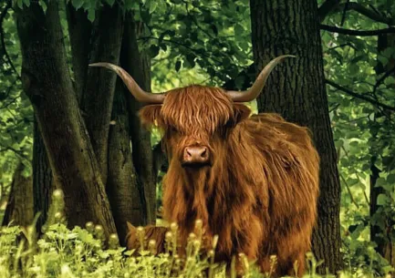 Zoo na Hrádečku