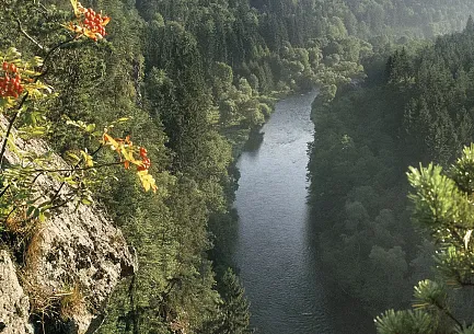 Blánský les