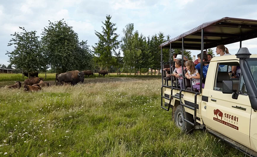 Safari Resort v Hluboké u Borovan