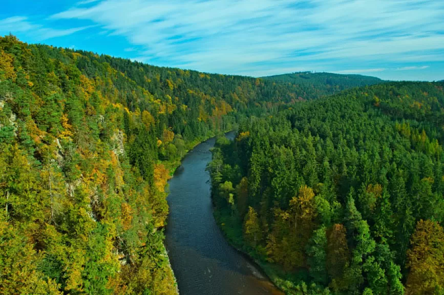 Blánský les