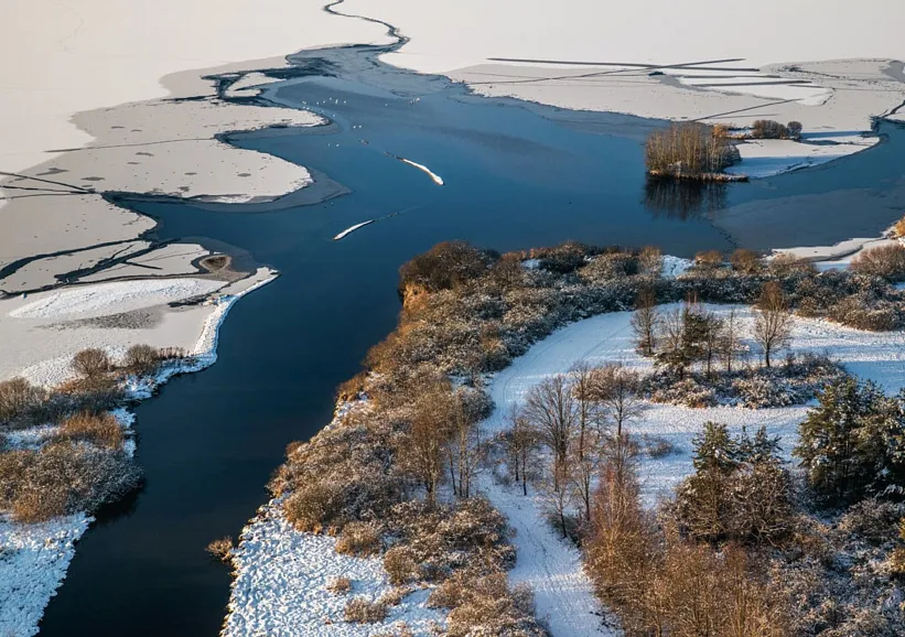 Rybník Rožmberk