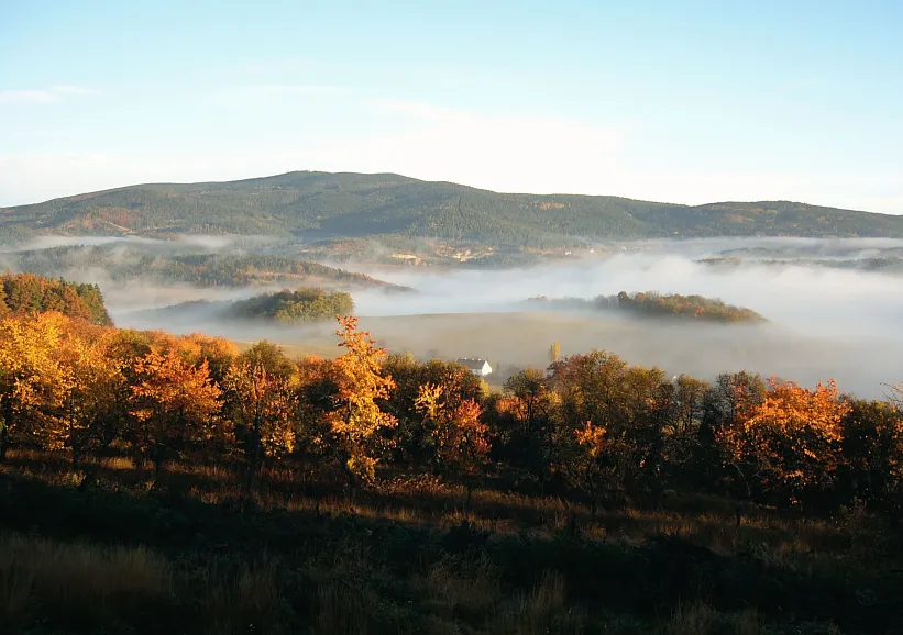 Blánský les