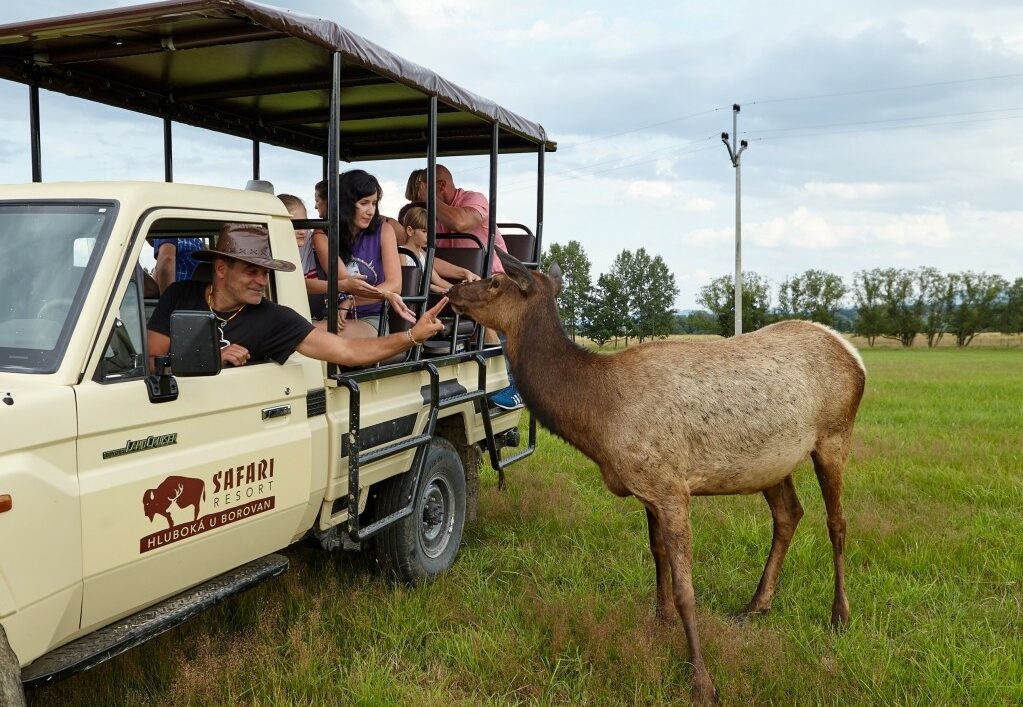 Safari Resort v Hluboké u Borovan