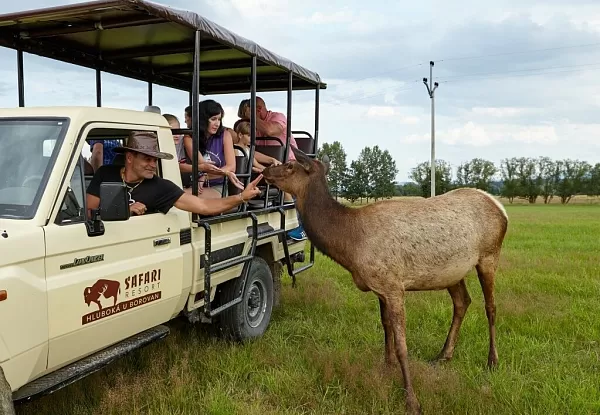 Safari Resort v Hluboké u Borovan