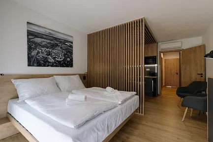1-Zimmer Apartments mit Kochnische