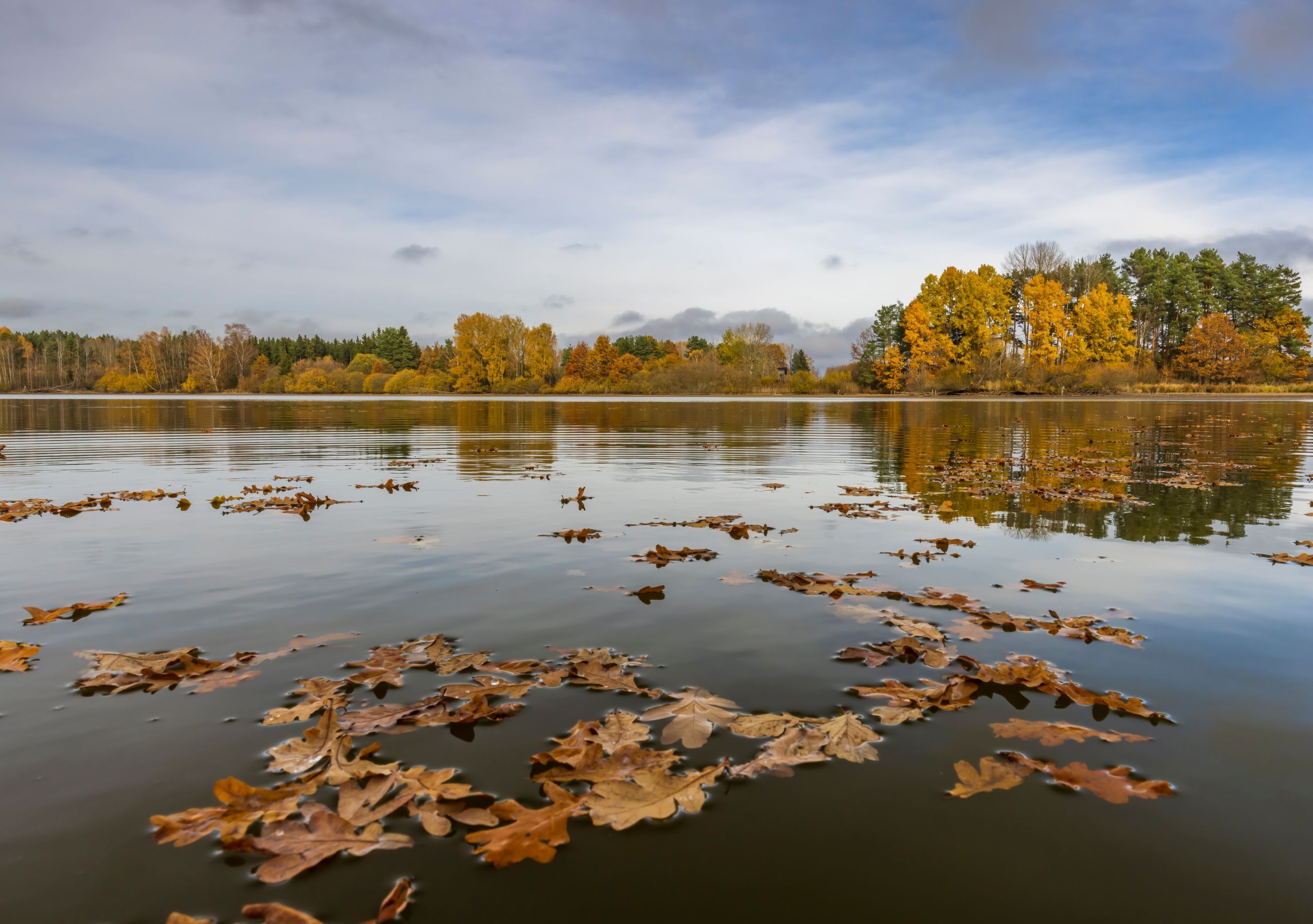 Svět Pond