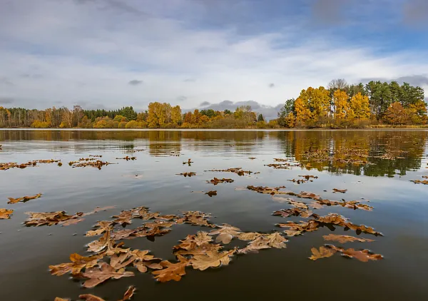 Svět Pond