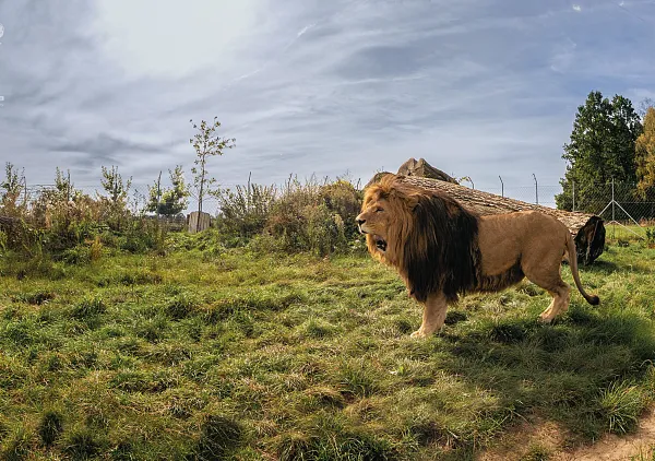 Zoo na Hrádečku