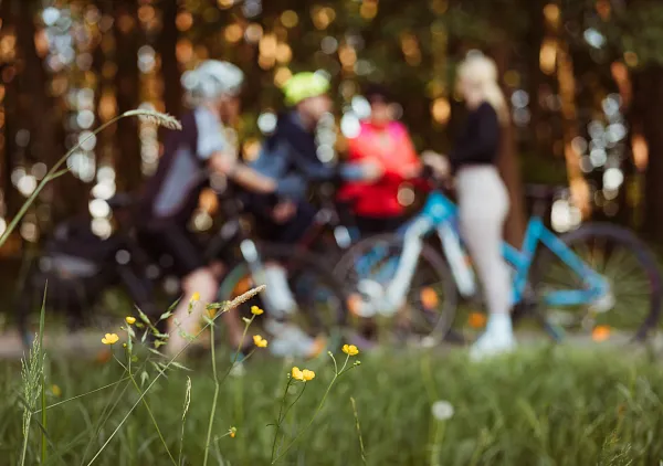 Cyklistická stezka Okolo Třeboně